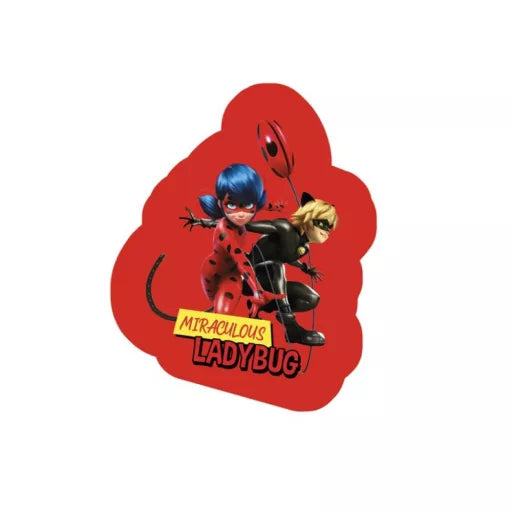 🐞 Coussin décoratif – Les Aventures de Ladybug et Chat Noir – 28 × 40 cm