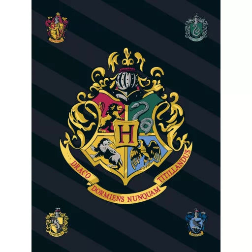 🪄 Couverture polaire – Harry Potter noire – 100 x 140 cm