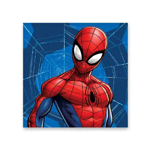 🕸️ Serviette Spider-Man – Toile d’Araignée – 30x30 cm