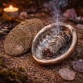 ✨🐚 Coquille d’Ormeau – Petit Modèle