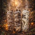 ✨🌿 Armoise – Sauge Noire en Fagotin – 30 g