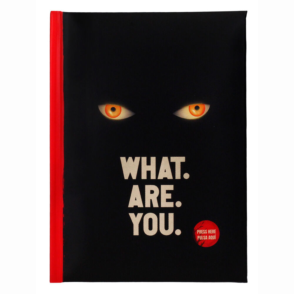 🎈📓 Carnet de notes « Qu’est-ce que vous êtes ? » – Bienvenue à Derry